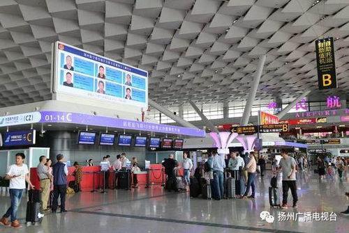 郑州机场爆料最新消息,航班调整及出行提示发布